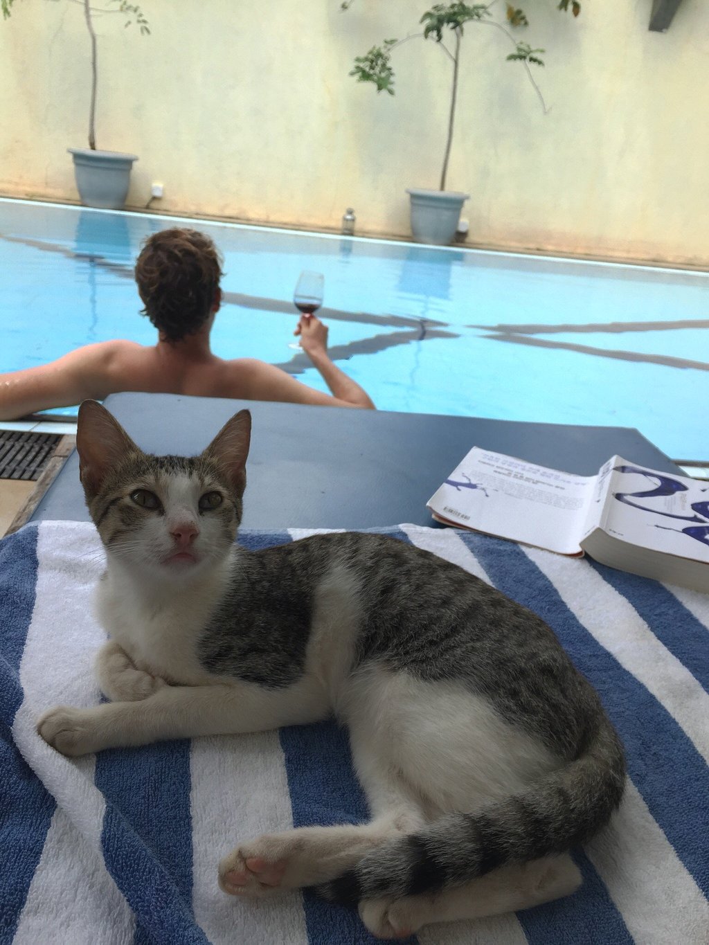 By the pool