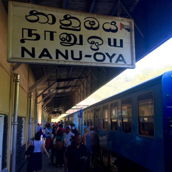 Nanu Oya train station